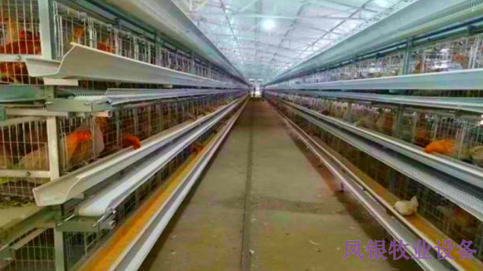 湖北全自动养鸡设备加工 河南凤银牧业养殖设备供应