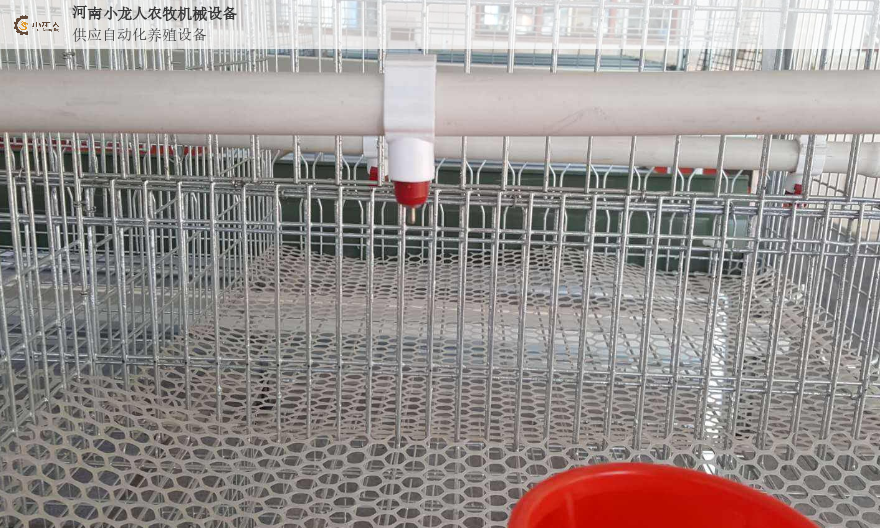 四川养鸡场设备厂家 河南小龙人农牧机械设备供应