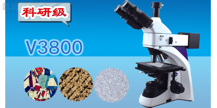 广州倒置显微镜替代进口 广州市翁迪仪器供应