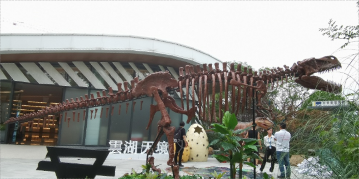 江西室外恐龙展 欢迎来电 云南小龙文化供应