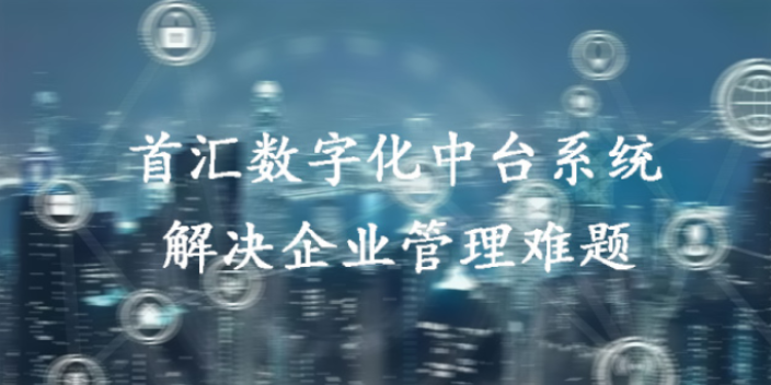 重庆大数据企业信息化管理 来电咨询 首汇信息供应