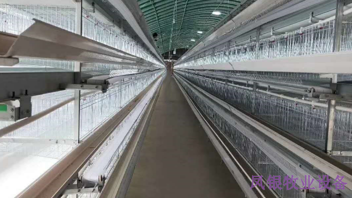 河南全自动养鸡鸡笼设备 河南凤银牧业养殖设备供应