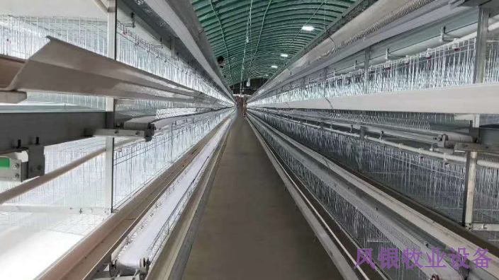 福建层叠式鸡笼公司 河南凤银牧业养殖设备供应