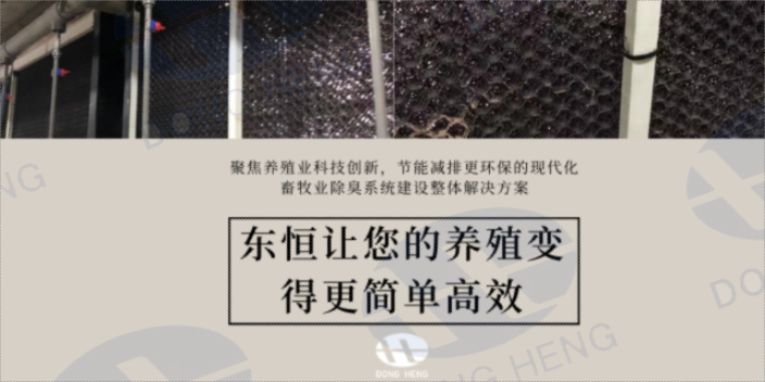 河北猪舍楼房整体通风系统创新服务 空气过滤 深圳市东恒科技供应