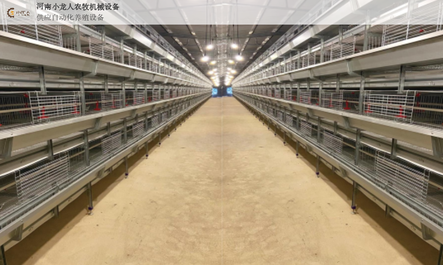 南阳新型鸡笼尺寸 河南小龙人农牧机械设备供应