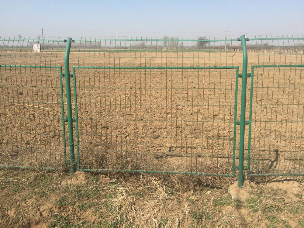 护栏网厂安全防护圈山防盗围栏绿色浸塑框架护栏网