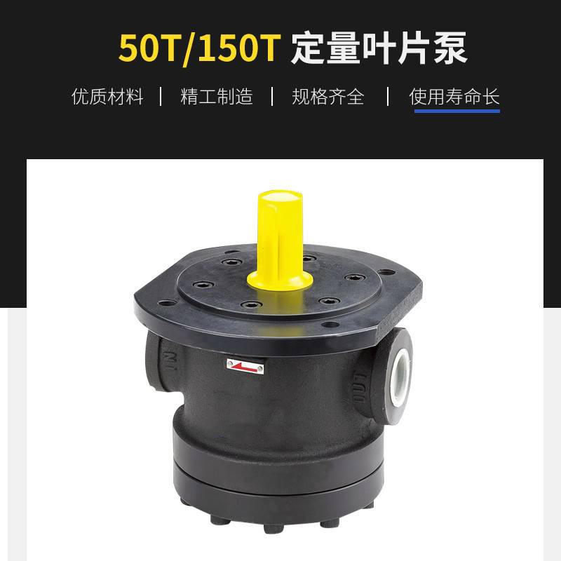 稳定高效铸铁工业自动化50T定量叶片泵液压油泵150T