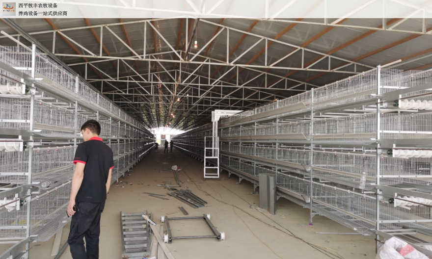 北京新型层叠式种鸡笼批发 西平牧丰农牧设备供应
