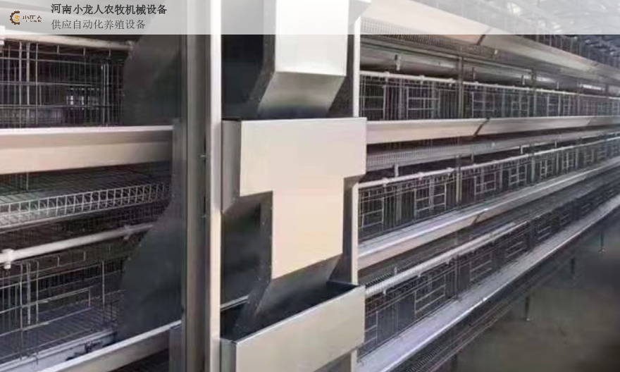 广东大型养鸡设备加工 河南小龙人农牧机械设备供应