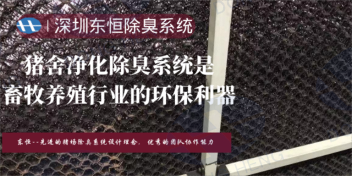 宁夏猪舍楼房整体通风系统经验丰富 猪场养殖 深圳市东恒科技供应