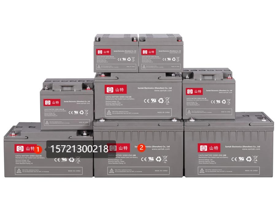 上海供应山特UPS蓄电池各种型号