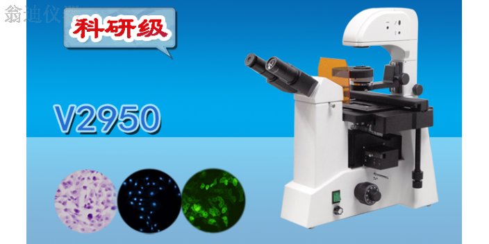 广州生物显微镜哪家便宜 广州市翁迪仪器供应