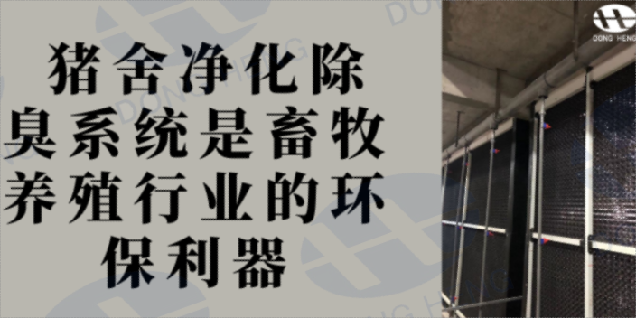 青海影响猪舍楼房整体通风系统 客户至上 深圳市东恒科技供应