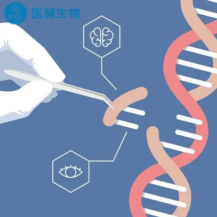 广州上户亲子鉴定流程 清远华远基因科技有限公司
