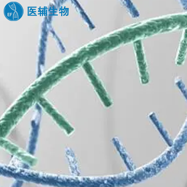 广州增城区上户亲子鉴定正规机构 清远华远基因科技有限公司