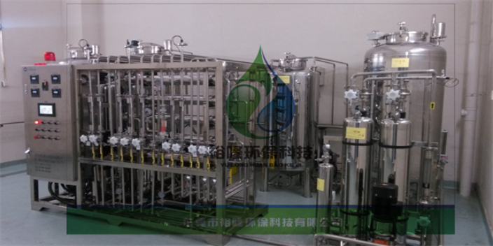 海南大型纯化水设备供应 来电咨询 东莞市裕隆环保科技供应