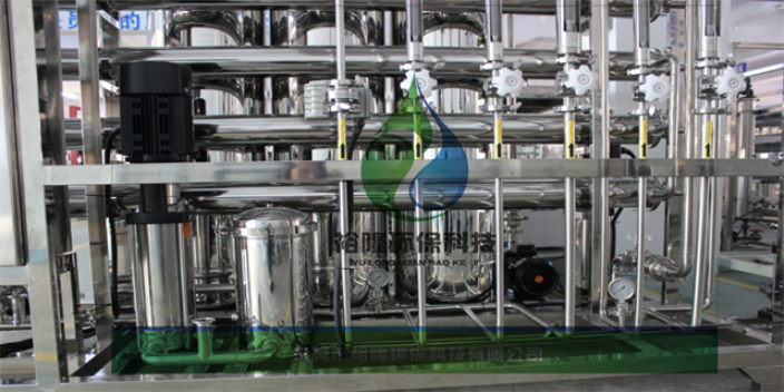 海南大型纯化水设备供应 来电咨询 东莞市裕隆环保科技供应