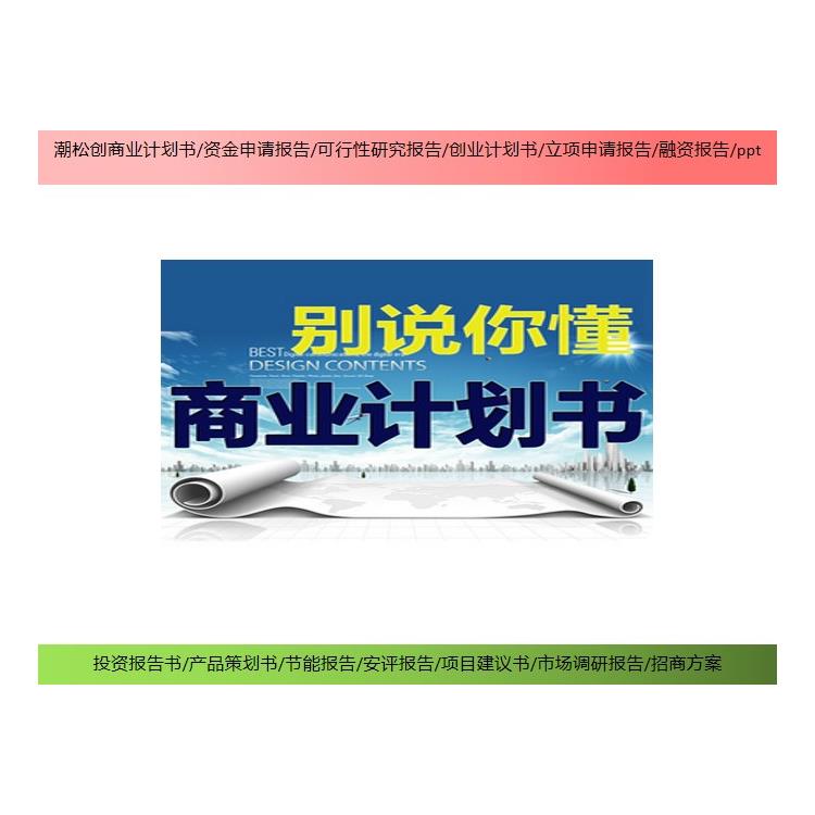 重庆市企业项目融资报告书 由谁编写 创业报告