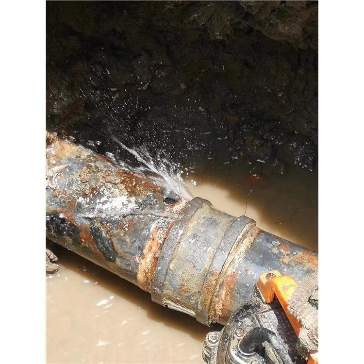 小区给水管查漏水价格 工业园埋地金属管网破损抢修 谢岗镇漏水检测电话