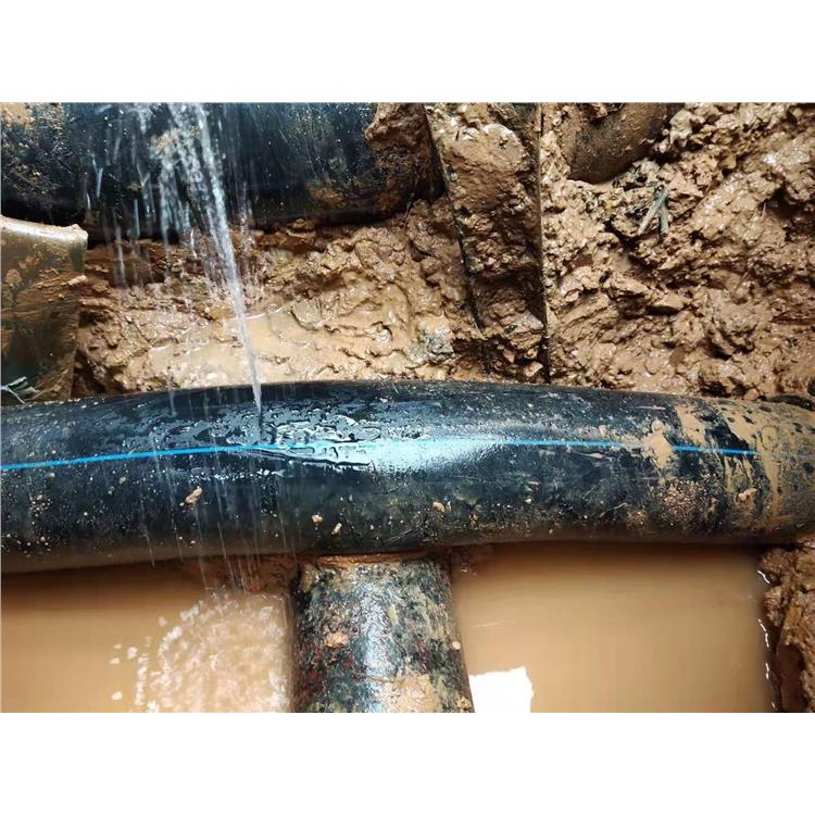 惠州抢修水管漏水服务 消防管网漏水检漏 金属管道渗漏探测电话