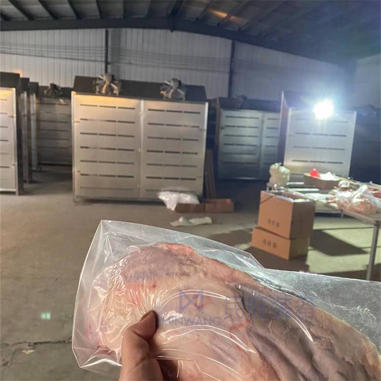 猪牛羊肉低温高湿蒸汽解冻机 大块冻肉低温缓化设备