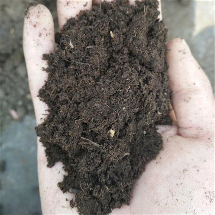 泥炭土|绿化肥|推荐