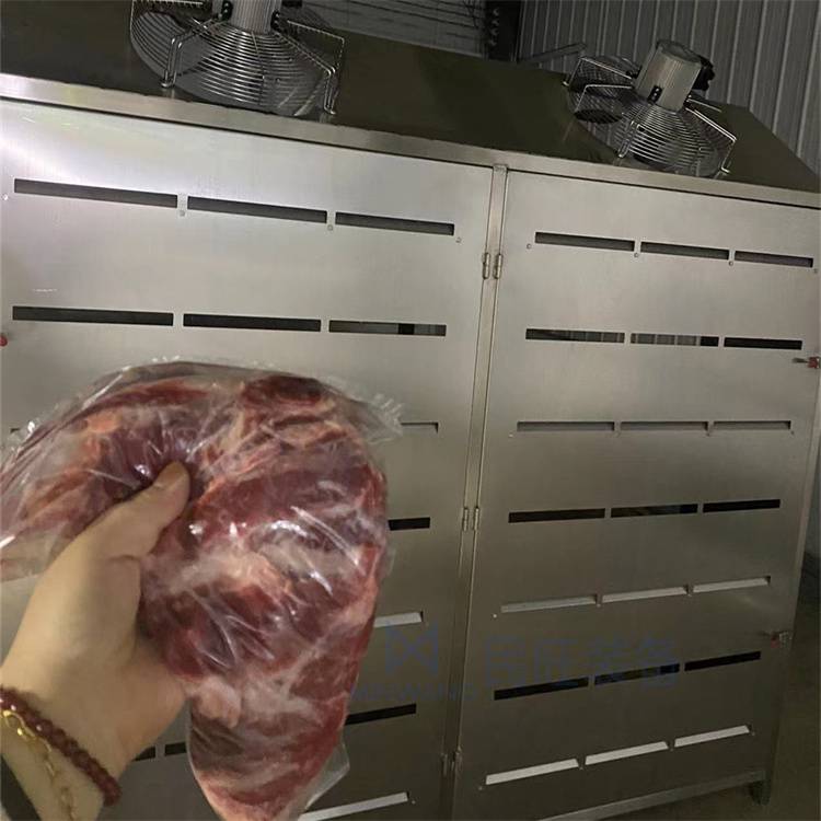 大米龙解冻缓化机器 定制冷冻牛羊肉低温高湿解冻机