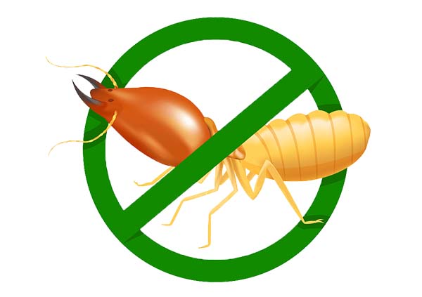 华美白蚁防治-常州灭白蚁公司-从源头解决白蚁问题
