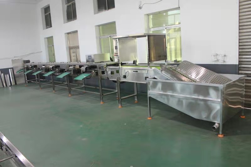 黑龙江养殖厂蛋品分级机