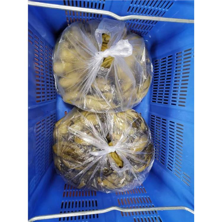 黄江镇农副产品配送 长安上沙单位生鲜配送公司 开源膳食送菜团队