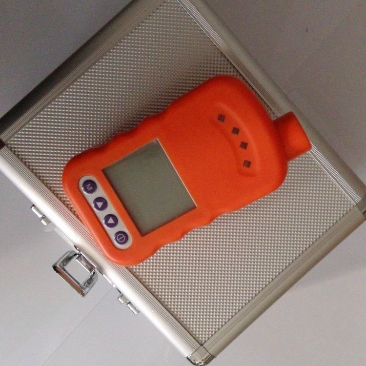 WL-3000单一型气体检测报警仪