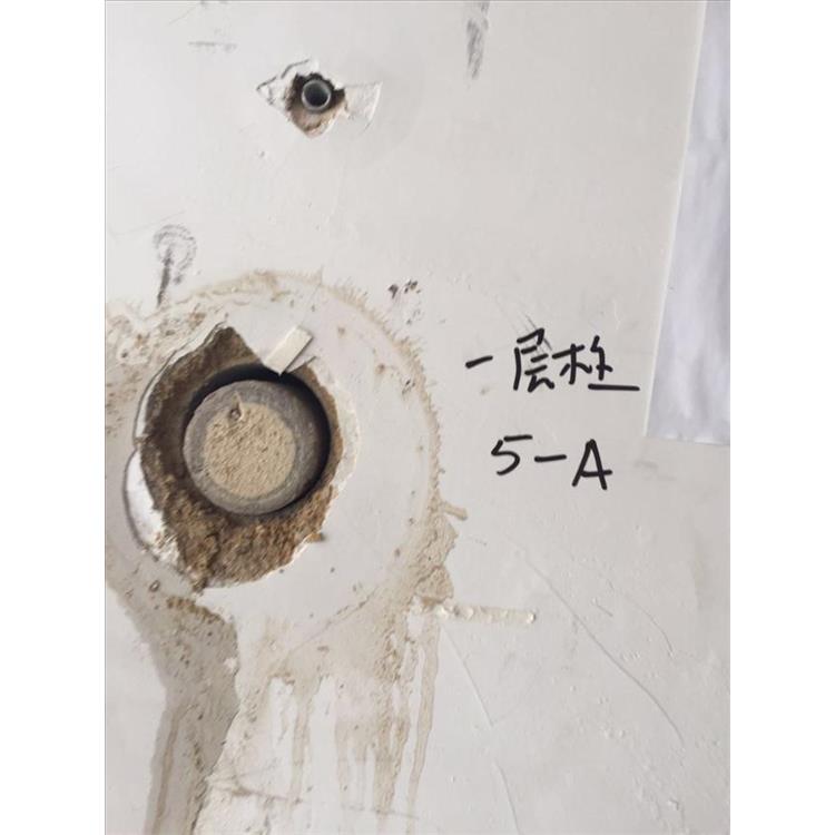 龙川县房屋检测 房屋质量鉴定