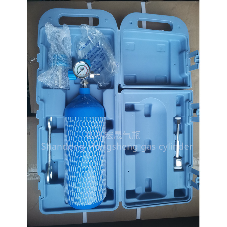 供氧器家庭吸氧 高原吸氧 车载氧气瓶 便携式供氧器