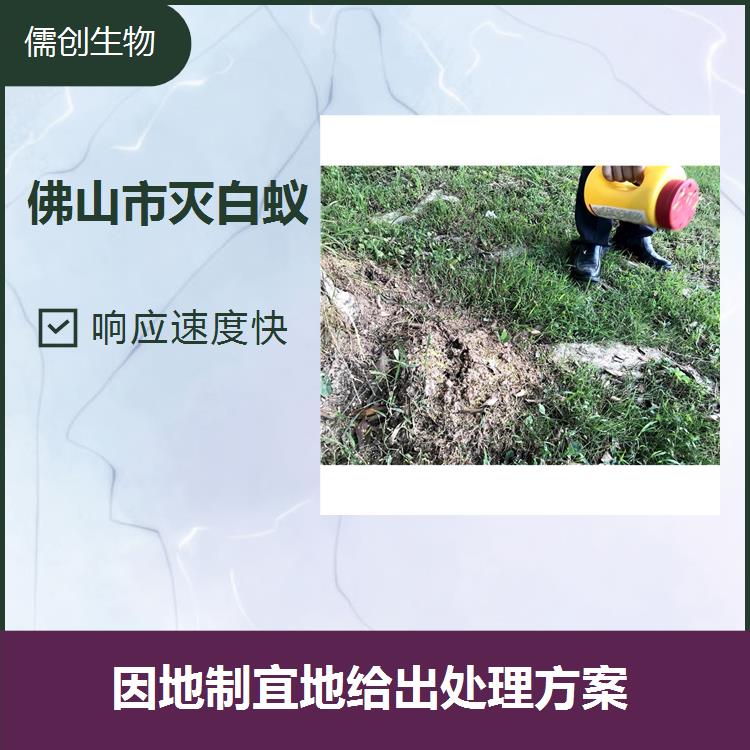 廣州市滅白蟻 *可靠便利有用 為各類客戶解決害蟲的困擾