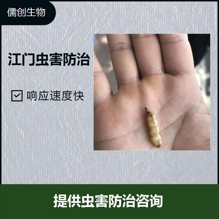 廣州市佛山滅白蟻公司 *省心可靠 *勘察現(xiàn)場找到害蟲源頭