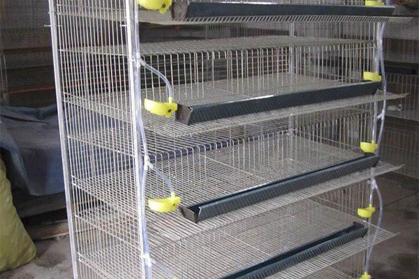 徐州鸽子笼厂家 南通上料设备安装 六安传宝笼具