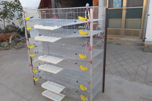 滁州鹌鹑笼厂家 安庆自动鹌鹑养殖设备定制 传宝笼具
