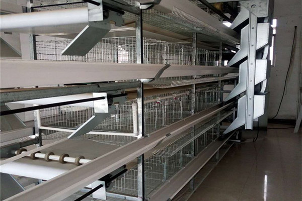 六安鹌鹑笼厂家 宣城鸽子笼定制 六安传宝 宿州鸡笼