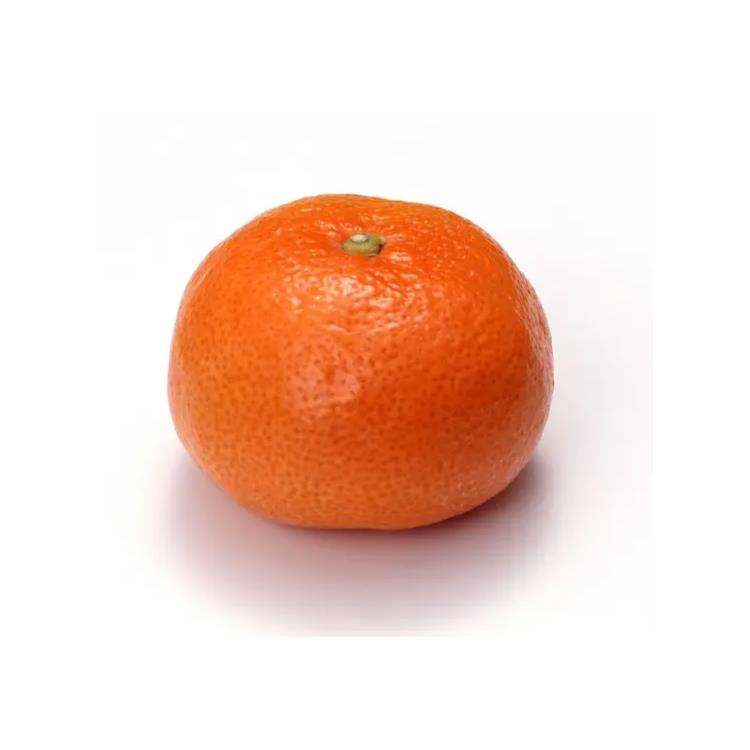 北京指橙代理公司 水果進口物流
