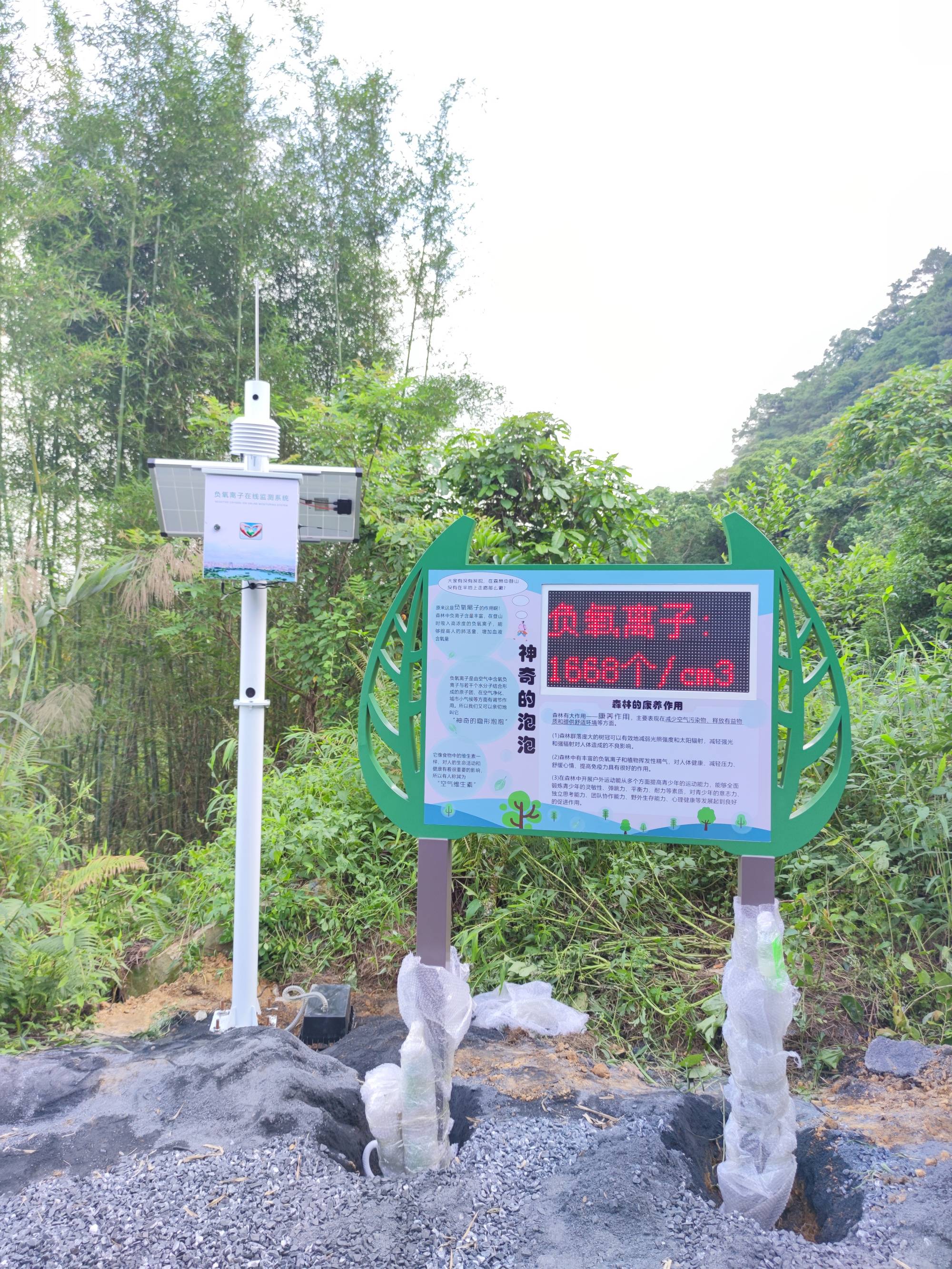 广东自然保护区空气负氧离子浓度监测仪 OSEN-FY风景区负氧离子含量监测设备