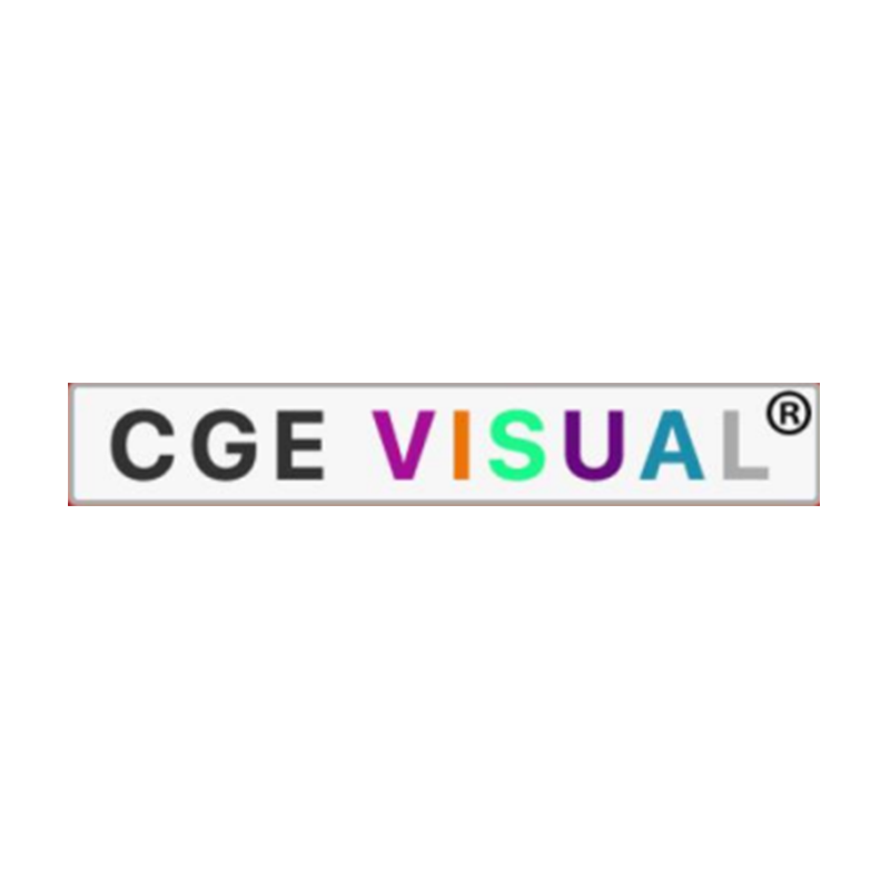 CGE VISUAL—中国政策模拟与智能分析系统