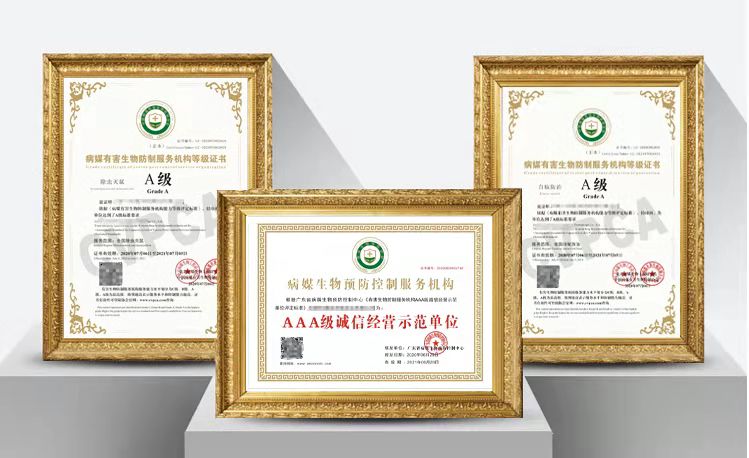 北京除甲醛企业资质证书申请材料