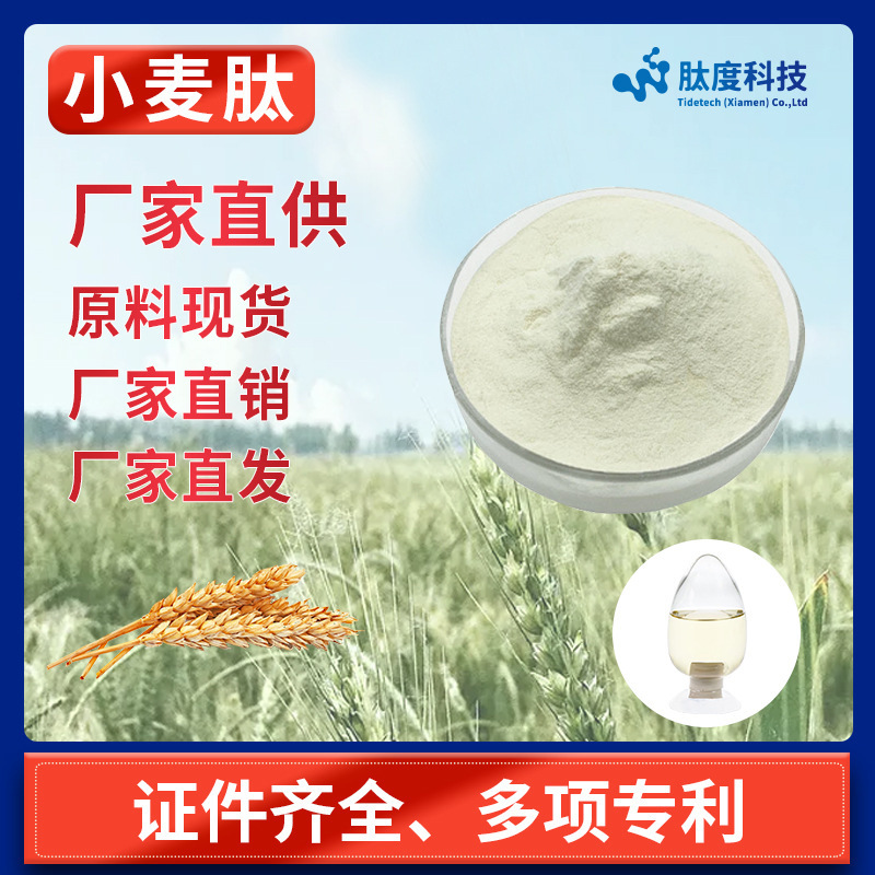 小麦肽原料 小麦低聚肽粉厂家直供 500DA小麦低聚肽 肽原料oem
