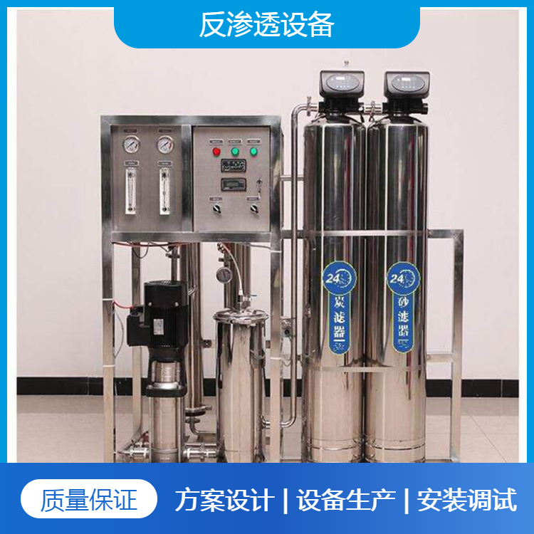 10吨双级反渗透纯水设备 水处理反渗透纯水设备非标定制厂家