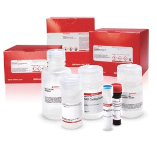 DPPH Antioxidant Assay Kit抗氧化检测试剂盒 CS0790