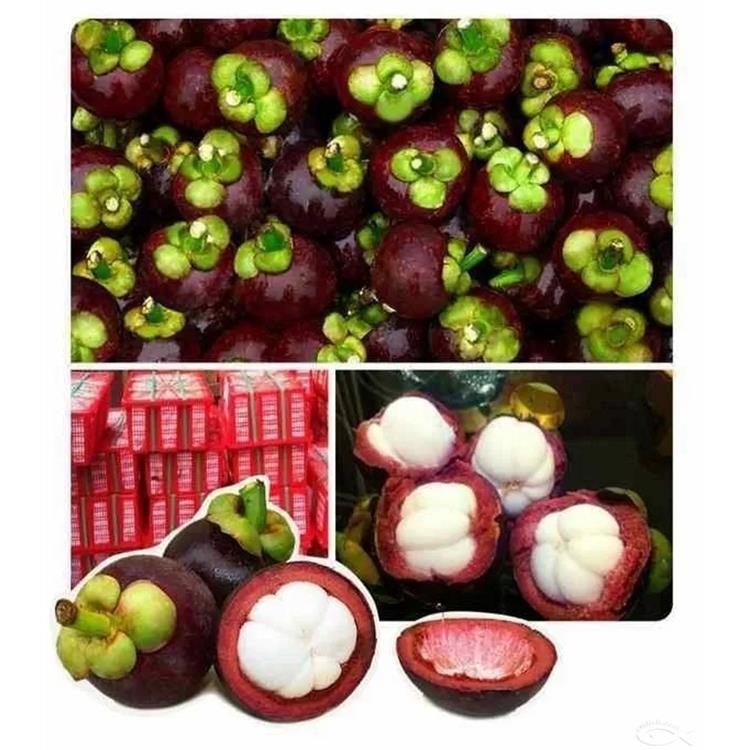 新鲜榴莲|泰国进口水果整体操作手续|水果清关代理