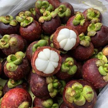 泰国进口新鲜水果关税
