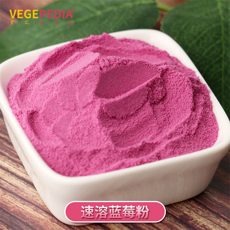 蓝莓粉99%含量 水果速溶粉 果粉代加工厂家