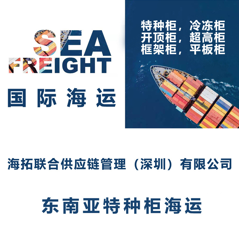 中国香港到老挝万象 海运特种柜冷冻箱整柜散货拼箱货代运输Vientiane