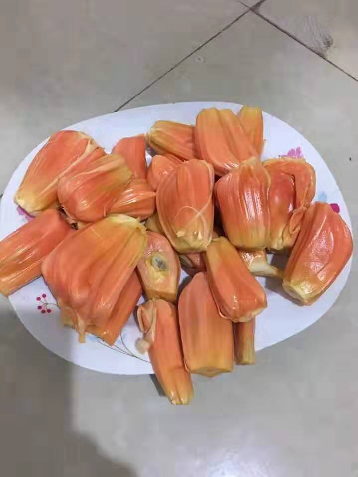 南宁马来西亚一号菠萝蜜苗生产基地